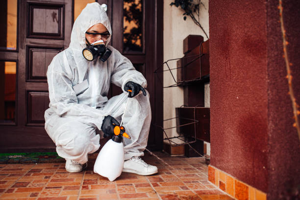 Reliable Mosquito Control contractor in Mahopac, NY by Show Me Pest Control