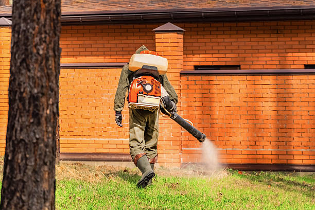 Top rated local Mosquito Control specialists in Mahopac, NY